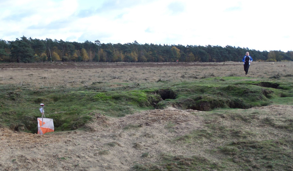 Impressie Ginkelse heide